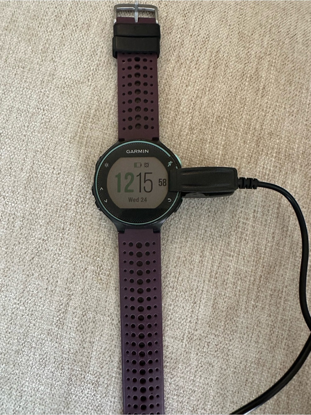 garmin Forerunner Sport Watch with Deep Purple Perforated Band
